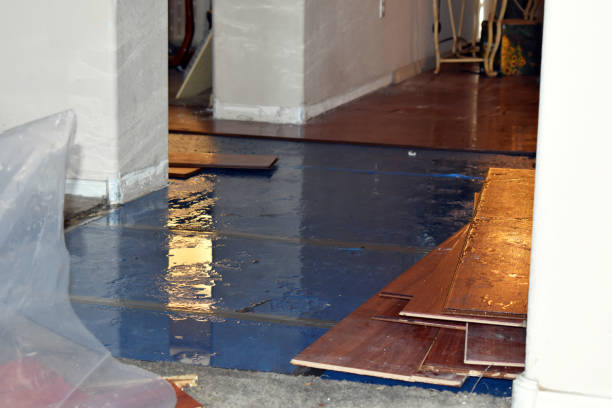 Professional Basement Flood Cleanup technician working in Oakland, NJ